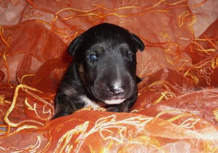 BEBE A 12 JOURS