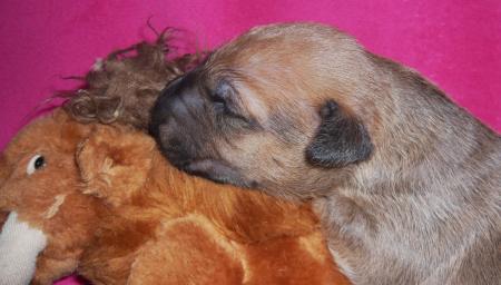 bébé à 10 JOURS